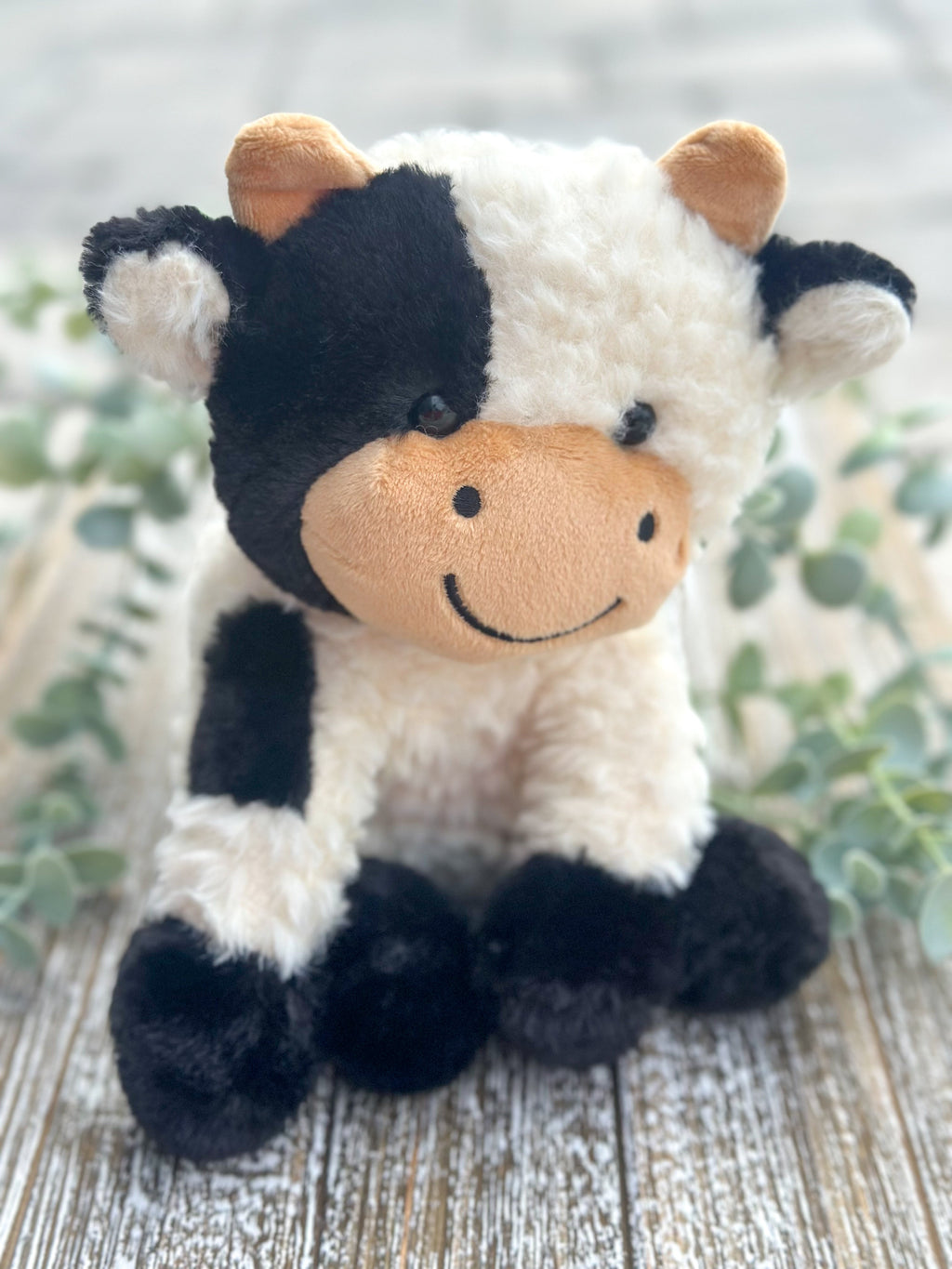 Daisy Cow "Black"