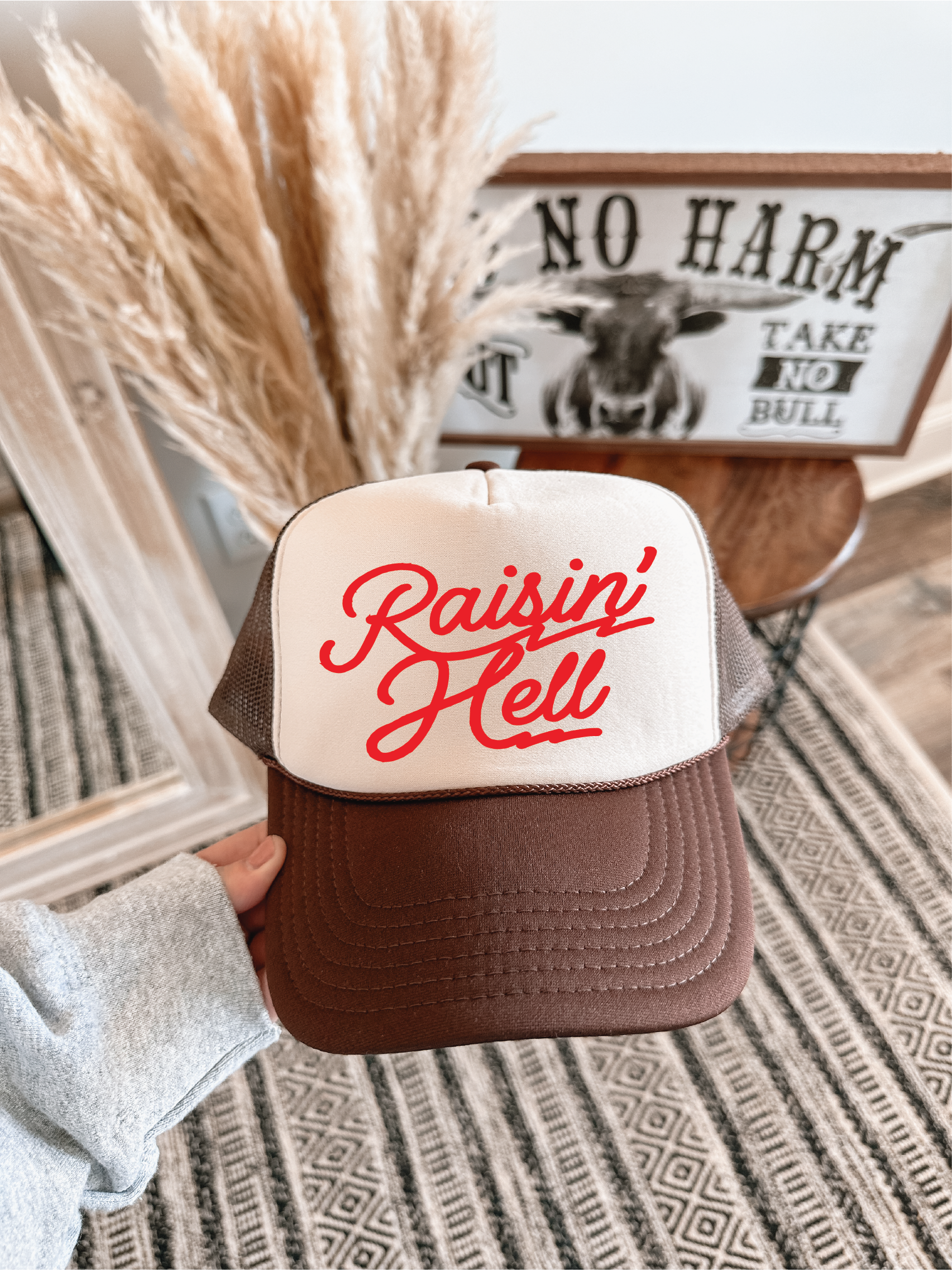 Raisin Hell Brown and Tan Hat